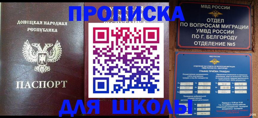 прописка для работы в Емве